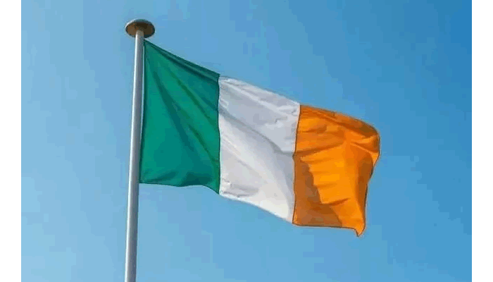 Manpower Shortage: Ireland Grants Work Permits To Nigerians, Others