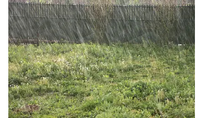 2024: Mixed reactions as Nigeria records first rain