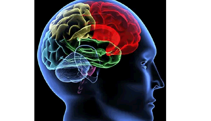 When you need to see mental health doctor – Expert