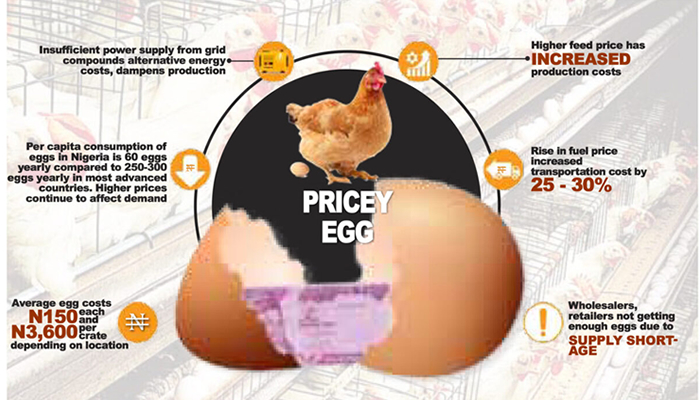 Inflation, price hike push an egg a-day diet beyond Nigerians’ reach