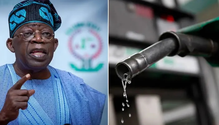 NECA, oil marketers to FG: Shun pride, review fuel subsidy removal, flotation of naira