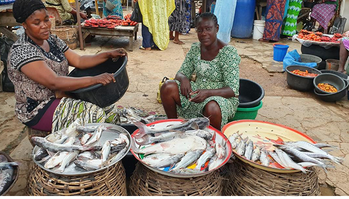 Incessant power outage and agony of SMEs, Artisans