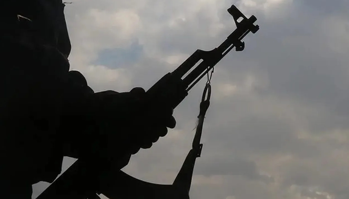 CSO appeals to lawmakers against arming citizens