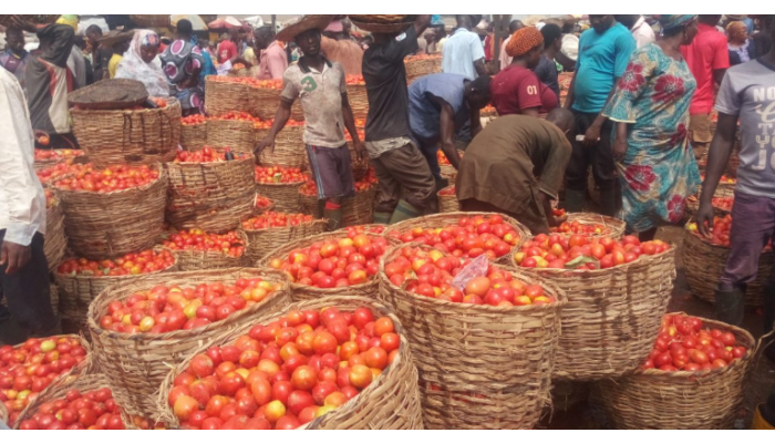 Lagosians adjust shopping habits in response to food price surge 