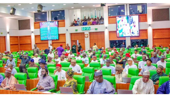 Minimum Wage: No worker can survive in Nigeria with less than N100,000 monthly – House of Reps