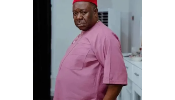 Mr Ibu’s death, one too many –  Musawa