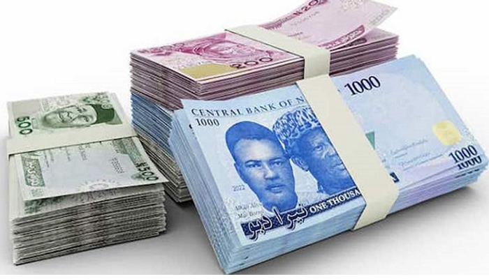 Each Nigerian Owes N446,000 as Public Debt Increases by 118 Percent in One Year