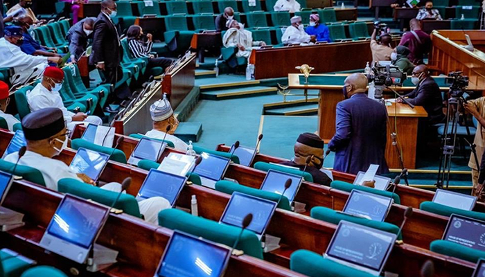 Reps Want Free Medical Treatment For Pregnant Women