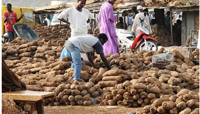 Harsh economy: Cut yams on sale at food markets